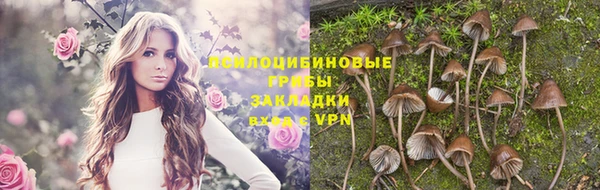 ГАЛЛЮЦИНОГЕННЫЕ ГРИБЫ Абинск