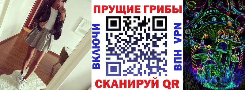 купить   Муравленко  Псилоцибиновые грибы Psilocybe 